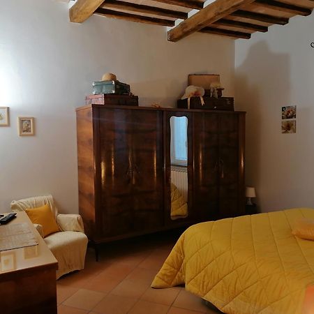 Residenza Le Ortensie トーディ エクステリア 写真
